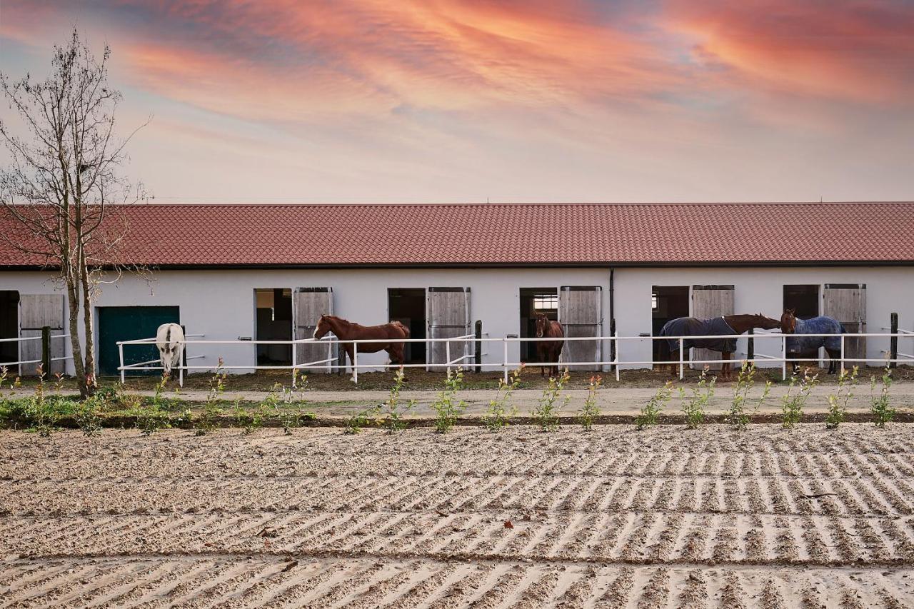 Brussa Horse Oasi Caorle Exterior foto