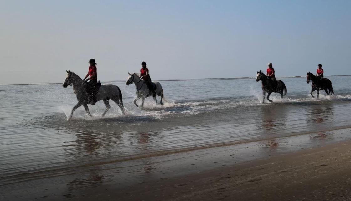 Brussa Horse Oasi Caorle Exterior foto