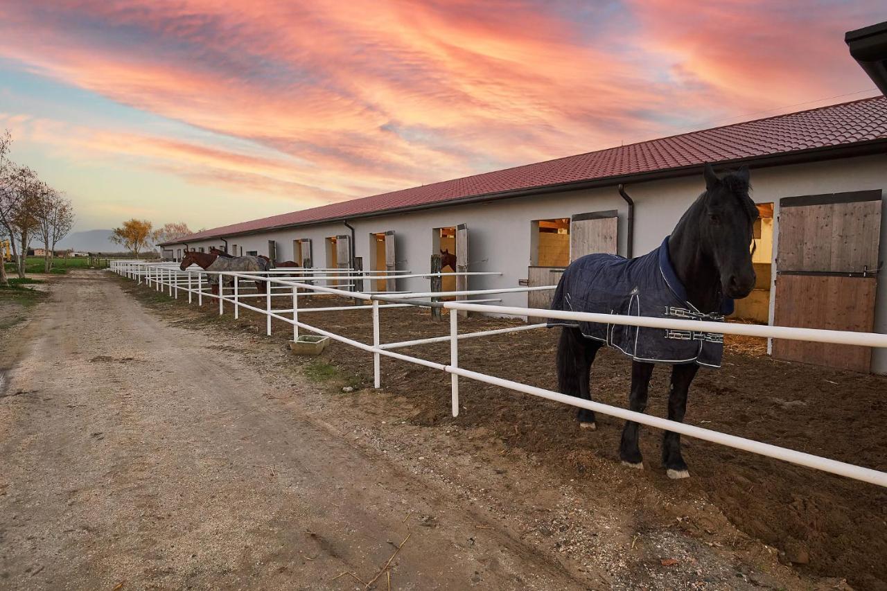 Brussa Horse Oasi Caorle Exterior foto