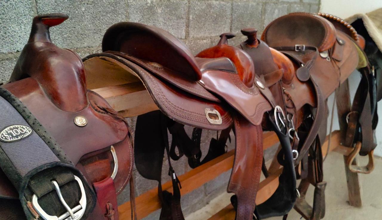 Brussa Horse Oasi Caorle Exterior foto